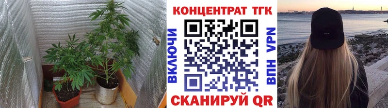 Дистиллят ТГК концентрат Лысково