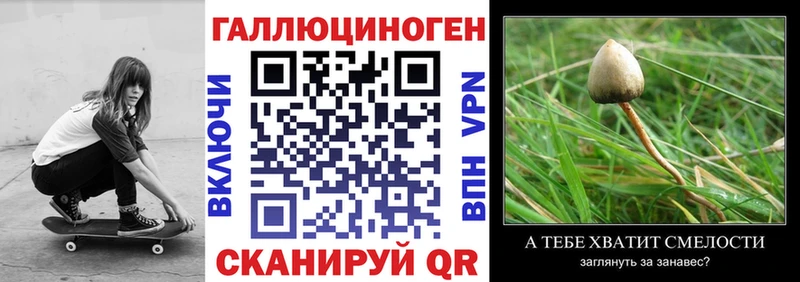 mega рабочий сайт  Лысково  Галлюциногенные грибы Psilocybine cubensis  наркошоп 